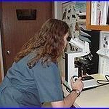 Heart Arrow Veterinary Service - untitled - Veterinarians Near Me - Spokane Valley, Washington Heart Arrow Veterinary Service - untitled - Veterinarians Near Me - Spokane Valley, Washington