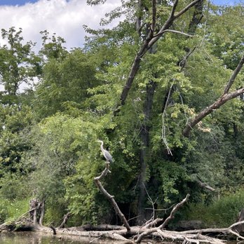 River Bend Nature Center - Beautiful wildlife - Parks Near Me - Racine, Wisconsin