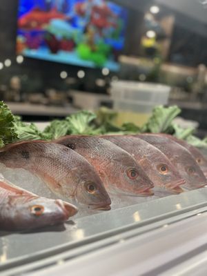 Don Camarón Seafood Grill by null