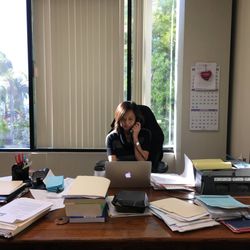 Law Offices Of Susan V Perez