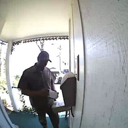 United Parcel Service - UPS delivery driver (in a hurry)!