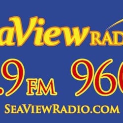 95.9 The Palm