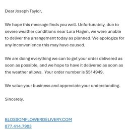 Email stating extreme weather excuse