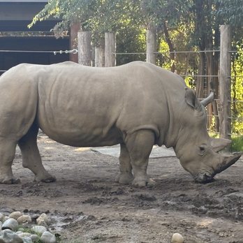 Sac Zoo - Zoos Near Me - Sacramento, California Sac Zoo - Zoos Near Me - Sacramento, California
