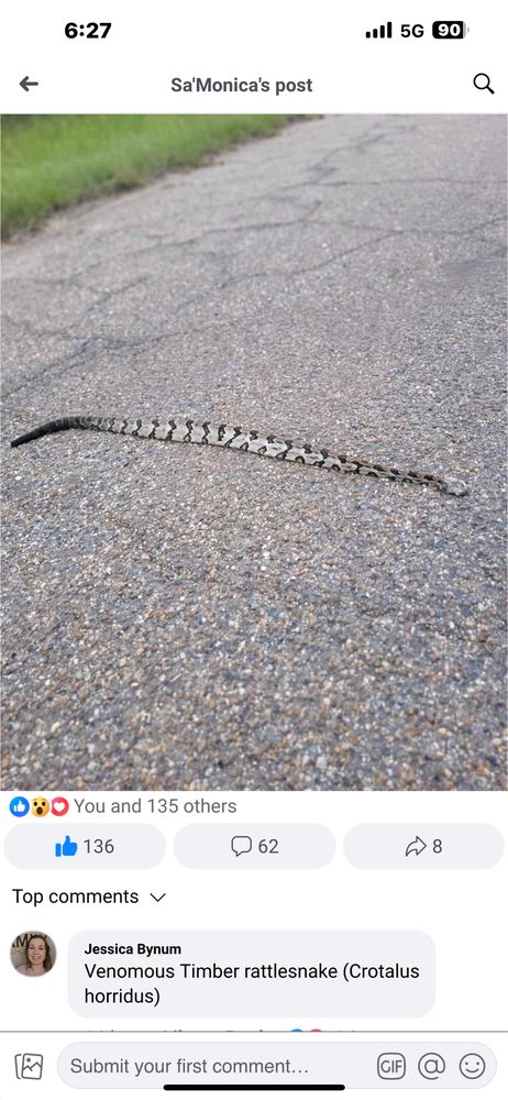 Slide of Pacheco Roofing