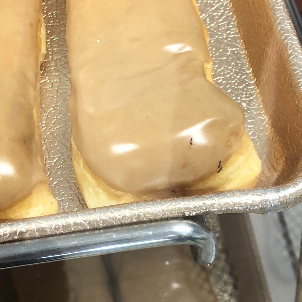 Eastside Donuts - Ants - Donuts Near Me - Simi Valley, California Eastside Donuts - Ants - Donuts Near Me - Simi Valley, California