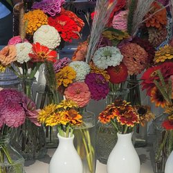 Cedar Falls Farmers Market