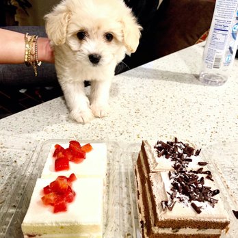 85°C Bakery Cafe-Northridge - Bakeries Near Me - Northridge, California