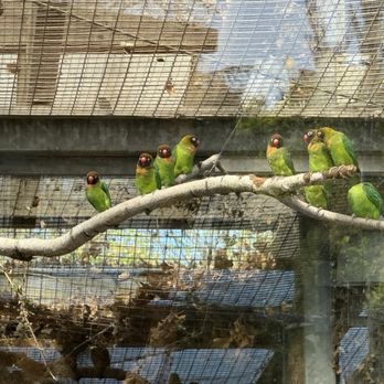 Lyon Zoo - Zoos Near Me - Lyon, 69