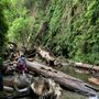 Photo of Fern Canyon Trailhead