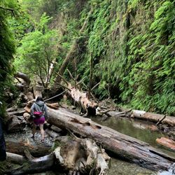 Fern Canyon Trailhead