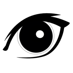 Veterinary Vision