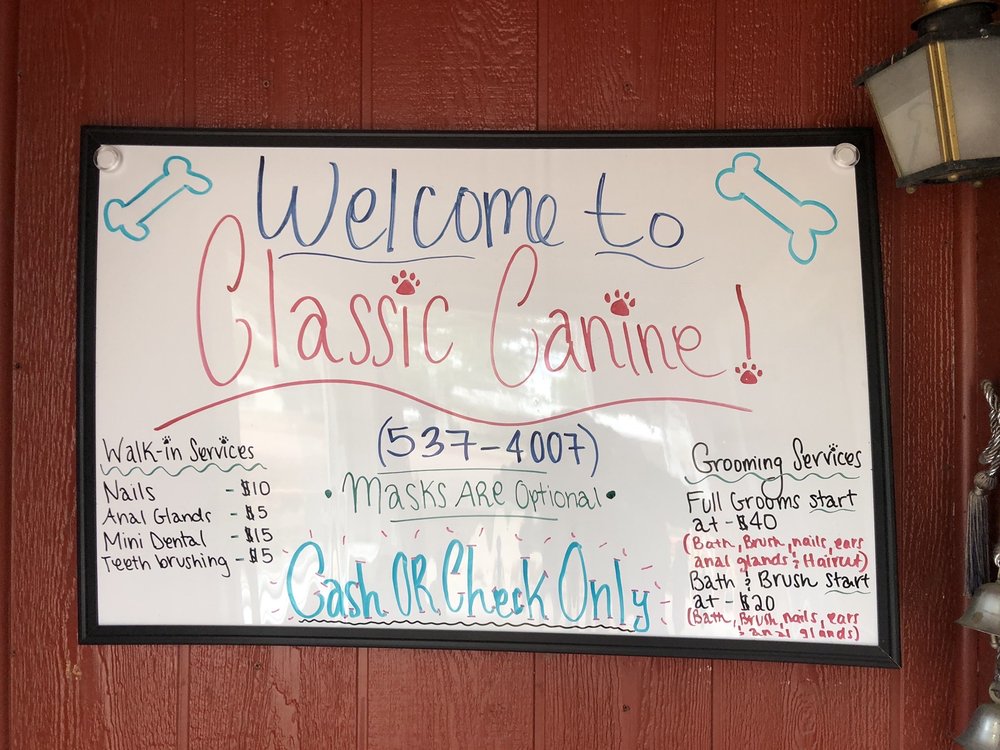 CLASSIC CANINE Updated September 2024 12 Photos & 13 Reviews 700