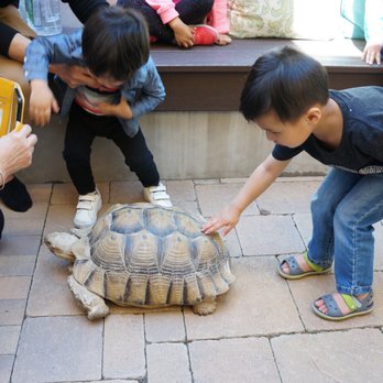 Jurassic Parties - Party & Event Planning Near Me - Fountain Valley, California Jurassic Parties - Party & Event Planning Near Me - Fountain Valley, California