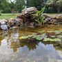 Photo of Alpine Landscaping