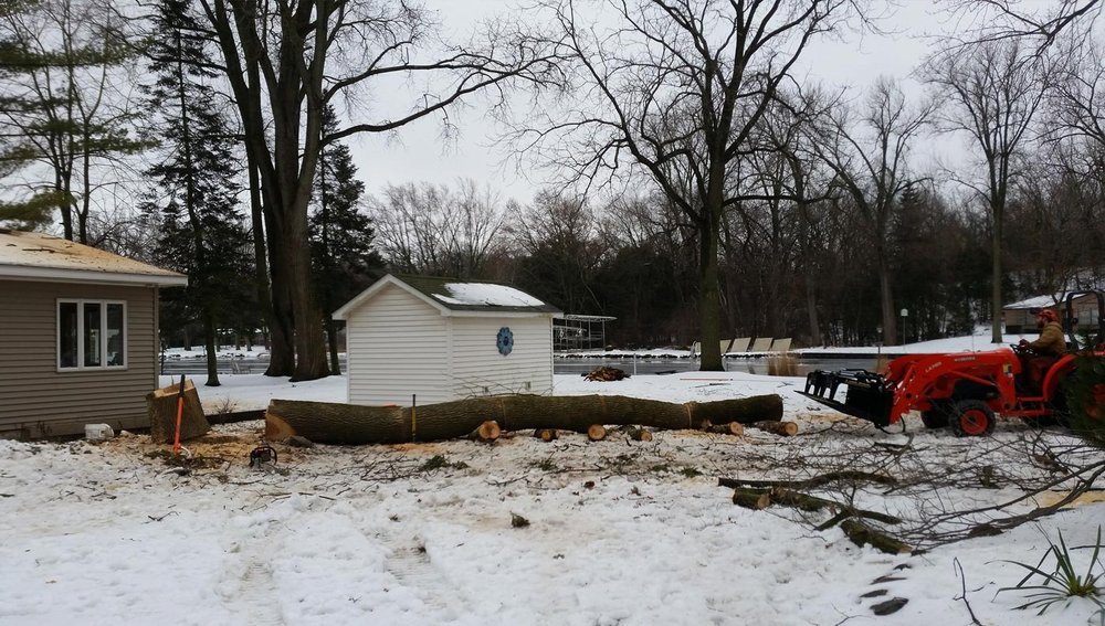 Your Personal Gardener and Arborist - veterans service organization in East Troy, WI