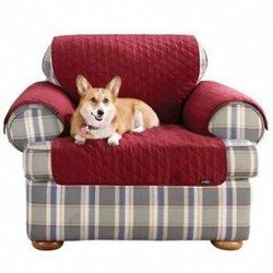 Sutter Buttes Canine Rescue - We need your help! Our renovation from flooding is complete and we are greatly in need of your gently used donations at the Thrift Shop.