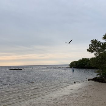 Key Vista Nature Park - Parks Near Me - Holiday, Florida Key Vista Nature Park - Parks Near Me - Holiday, Florida