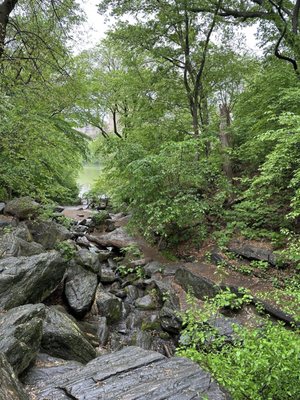 The Ramble by null