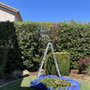 Photo of L&J Lawn Service