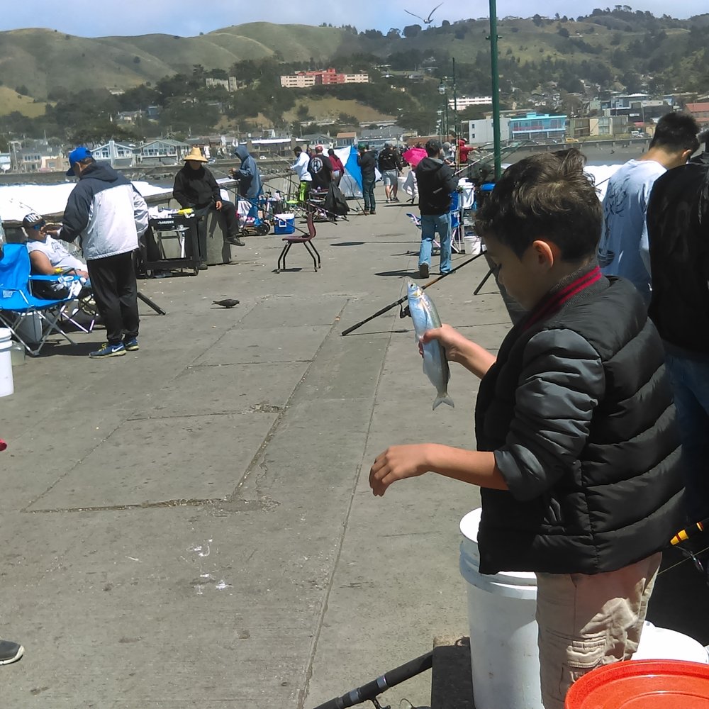 Pacifica Pier - A boy who smelt. Uh, I mean with a smelt. - Beaches Near Me - Pacifica, California Pacifica Pier - A boy who smelt. Uh, I mean with a smelt. - Beaches Near Me - Pacifica, California