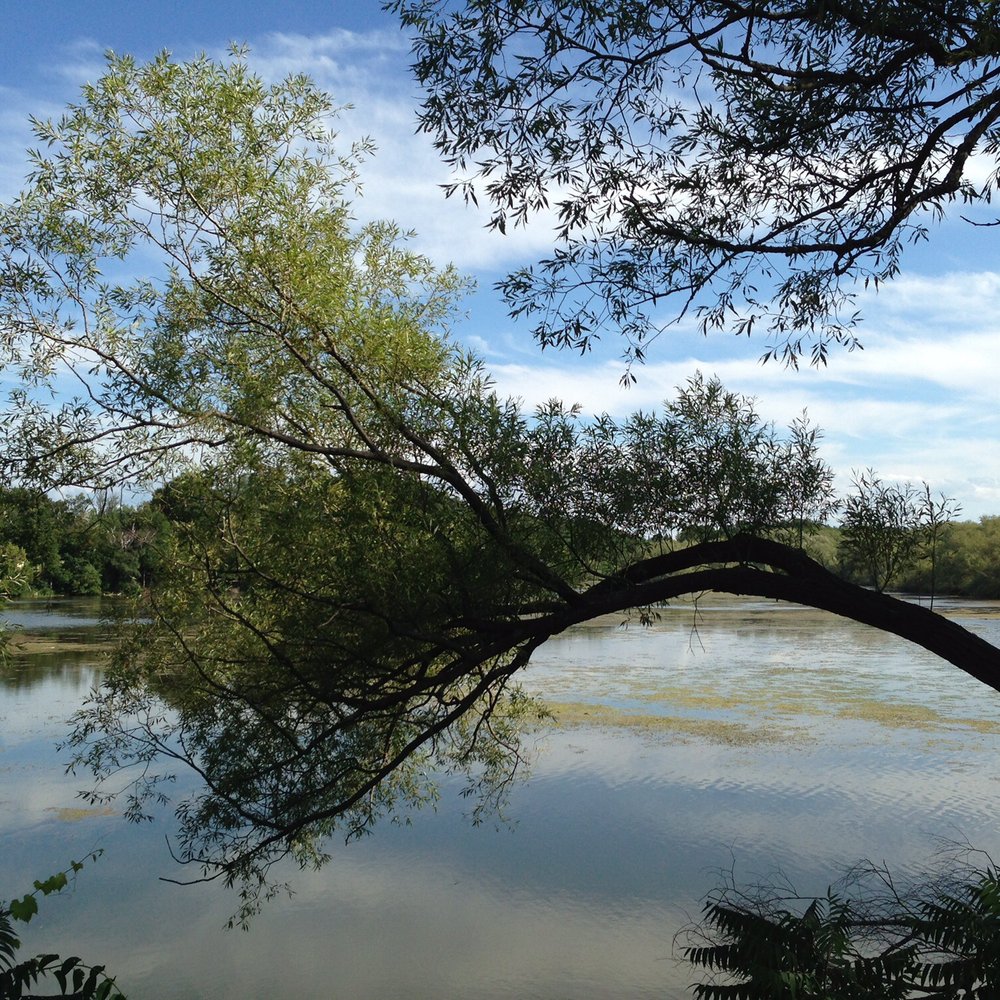 Bridges Tavern - The patio overlooks this picturesque lake - Bars Near Me - Blue Mountains, Ontario