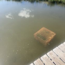 Tangier Island Cruises