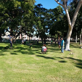 Bixby Dog Park - Small dog area. - Dog Parks Near Me - Long Beach, California Bixby Dog Park - Small dog area. - Dog Parks Near Me - Long Beach, California