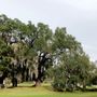 UF Health Orthopaedics and Sports Medicine Institute