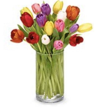 Rich Designs Flowers - The advertisement I ordered and thought the bouquet would resemble - Florists Near Me - Homosassa, Florida Rich Designs Flowers - The advertisement I ordered and thought the bouquet would resemble - Florists Near Me - Homosassa, Florida