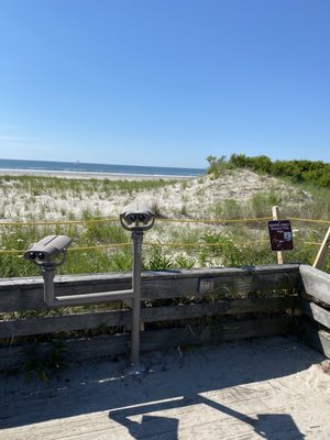 Cape May National Wildlife Refuge by null