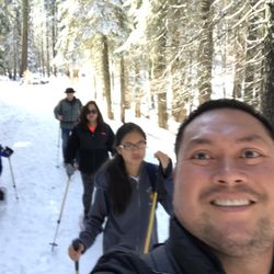Tuolumne Grove of Giant Sequoias - Tour Trail at Tuolumne Grove