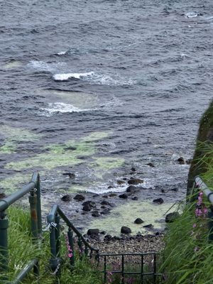 Dunluce Castle by null