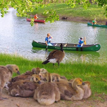 Carburn Park - Ma Goose watching the Canoes - Parks Near Me - Calgary, Alberta Carburn Park - Ma Goose watching the Canoes - Parks Near Me - Calgary, Alberta