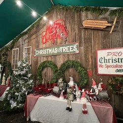 Pronzini Christmas Tree Lot