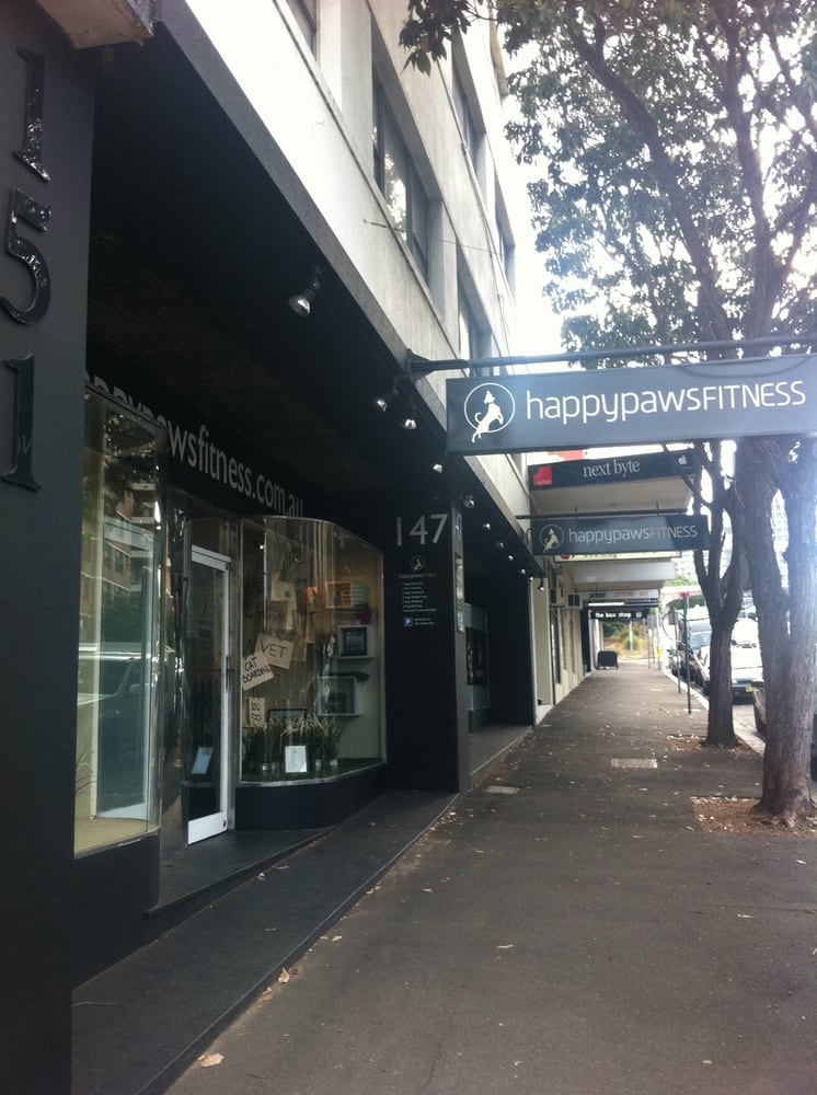 HAPPY PAWS FITNESS Updated March 2024 65 McLachlan Ave