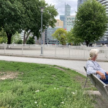 Clarence Square Park - Dog Parks Near Me - Toronto, Ontario
