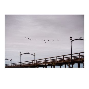 White Rock Beach - photo by Aaron Sha Photo(Instagram) - Beaches Near Me - White Rock, British Columbia White Rock Beach - photo by Aaron Sha Photo(Instagram) - Beaches Near Me - White Rock, British Columbia