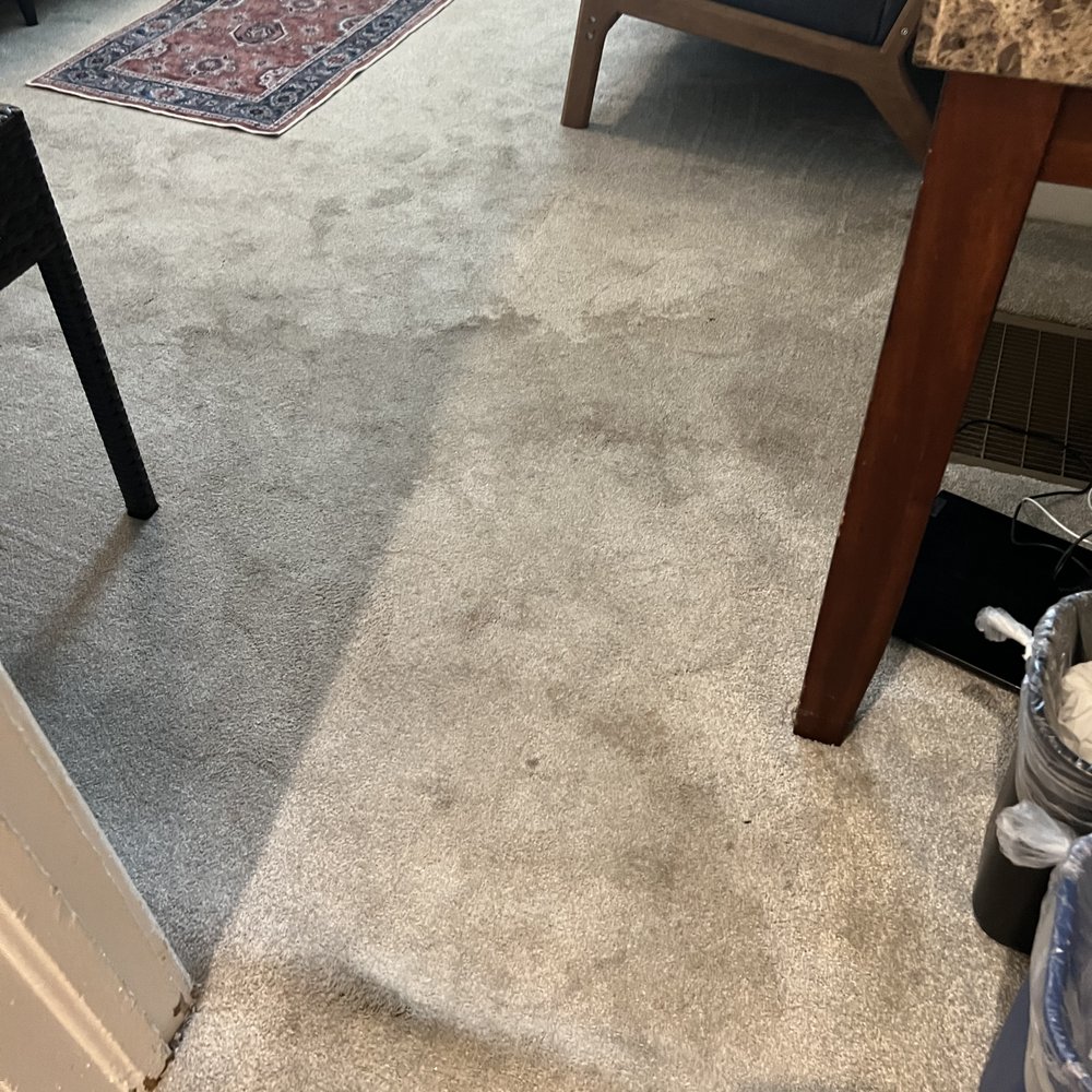 Hewitt Wellington Hotel - More rug stains - Hotels Near Me - Spring Lake, New Jersey