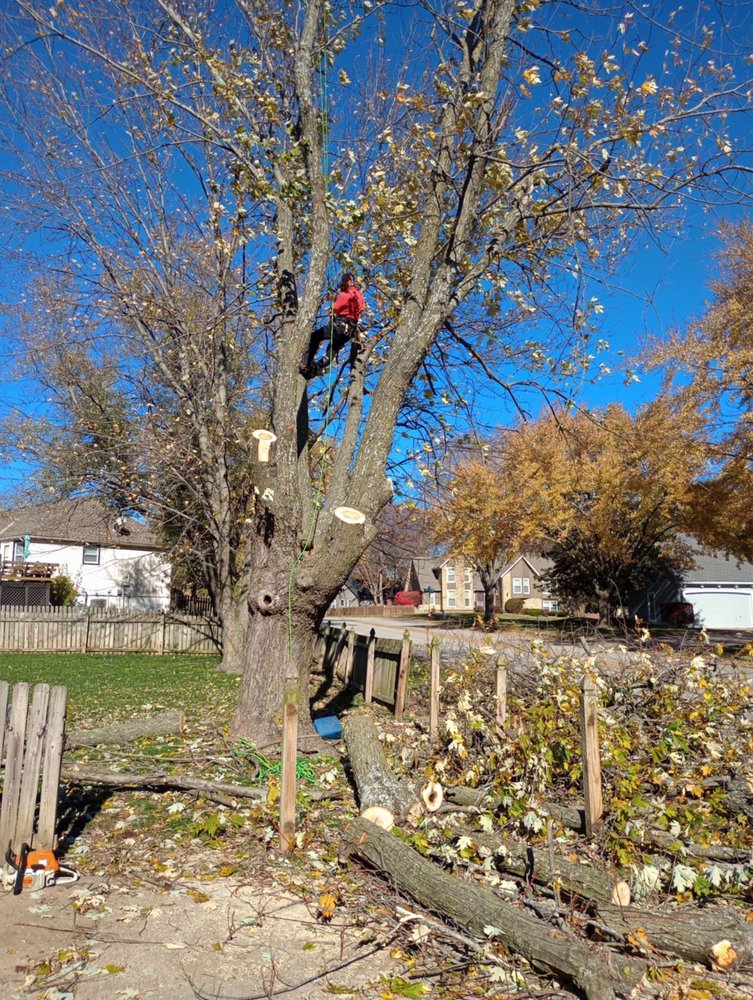 Antman’s Lawn & Tree Services - veterans service organization in Kansas City, MO