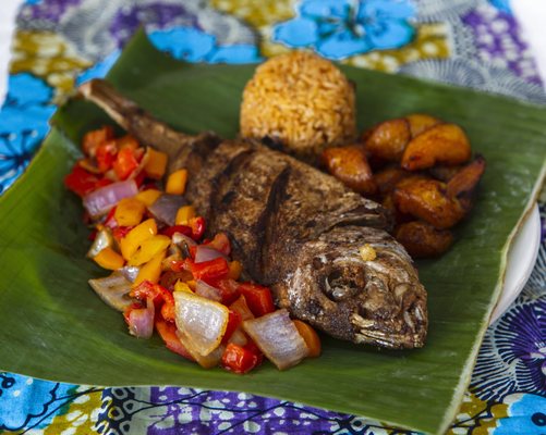 Maquis Yasolo by null