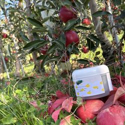 Ochs Orchard - Apple orchard, face scrub Ig: Jouniknatural