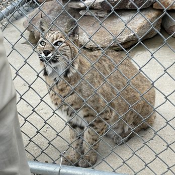 Penn's Cave & Wildlife Park - Historical Tours Near Me - Centre Hall, Pennsylvania Penn's Cave & Wildlife Park - Historical Tours Near Me - Centre Hall, Pennsylvania