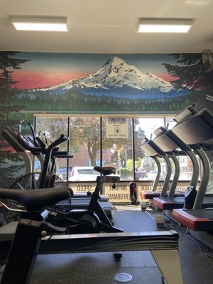 Evolution Healthcare and Fitness