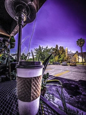 Venus Taproom, Roastery & Pizza by null