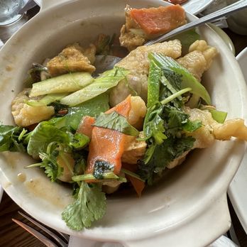 Oriental Cafe - Braised Fish w. Tofu 豆腐斑腩煲 - Chinese Near Me - Harrisonburg, Virginia Oriental Cafe - Braised Fish w. Tofu 豆腐斑腩煲 - Chinese Near Me - Harrisonburg, Virginia