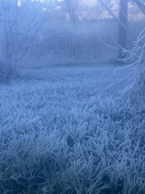 Astoria Hot Springs and Park by null