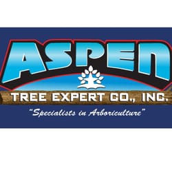 Aspen Tree Expert