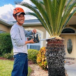 Ultimate Tree and Landscaping Services - Tree service in Mulberry, Florida