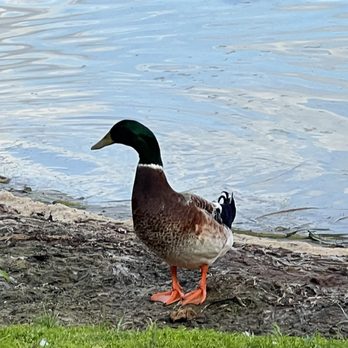 Lake Baldwin Park - Parks Near Me - Winter Park, Florida